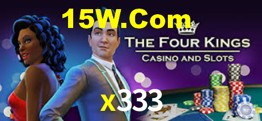 x333