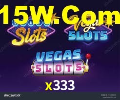 x333