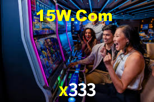 x333
