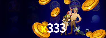 x333